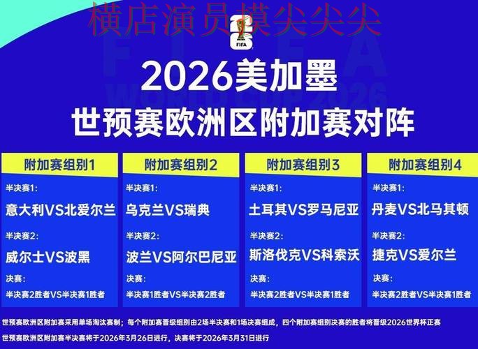 新手必看：世界杯竞猜网站速度测试+直播详解 + 2026世界杯